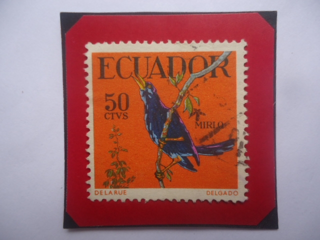 Mirlo  (Cacus solitarius)- Cacique Solitario- Serie: Pájaros tropicales- Sello de 50 Ctvs. Año 1958