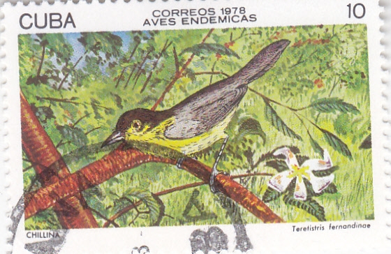 AVES ENDÉMICAS