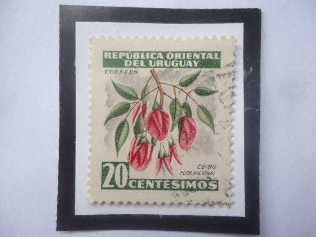 Ceibo - Flor Nacional - Sello de 20 Céntimos, año 1954.