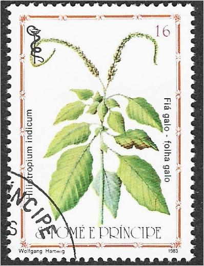 Plantas medicinales 2007, heliotropo indio (Heliotropium indicum)