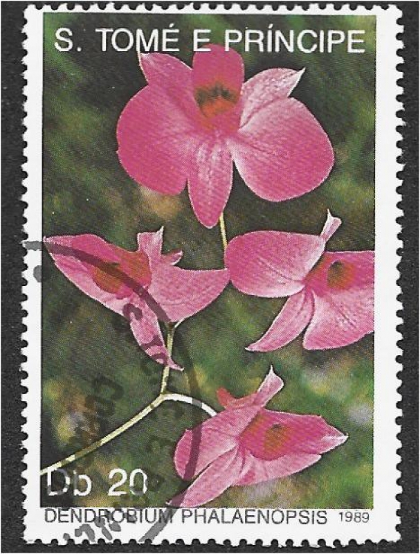 Orquídeas 1989, Dendrobium phalaenopsis