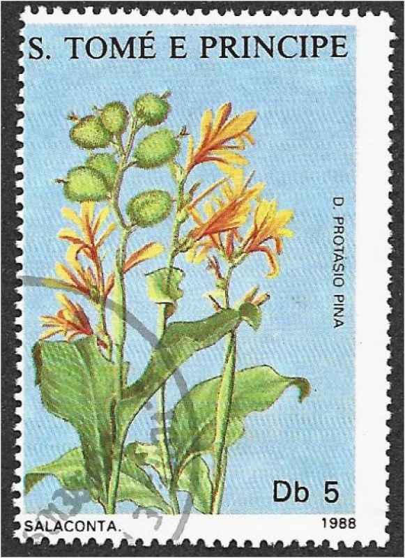 Plantas Medicinales 2007, Salaconta