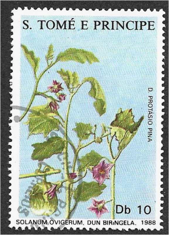 Plantas medicinales 2007, Solanum ovigerum