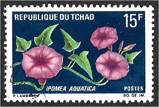 Flores, Ipomoea aquatica