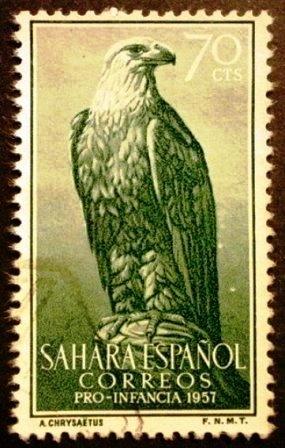 Sahara español. Pro infancia Águila Real