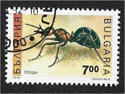 Insectos, Hormiga de madera roja (Formica rufa)