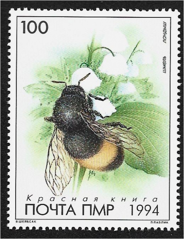 República de Transnistria. Libro rojo de PMR: fauna, abejorro