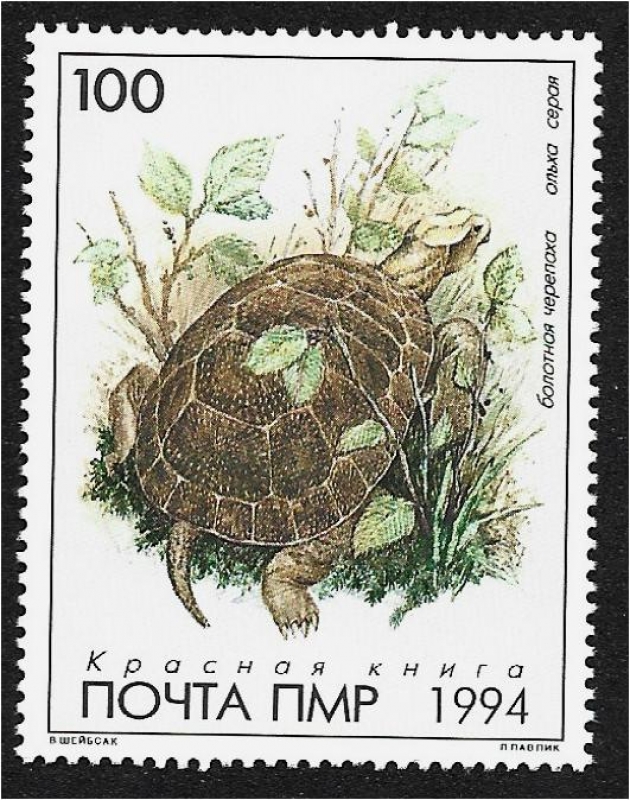 República de Transnistria.  Libro Rojo de PMR: Fauna, Tortuga de estanque europea (Emys orbicularis)