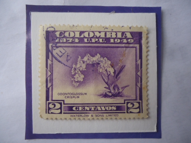 Odontoglossum Crispum-75°Aniversario Aniversario de la Unión Postal Universal U.P.U (1874-1949)-Sell