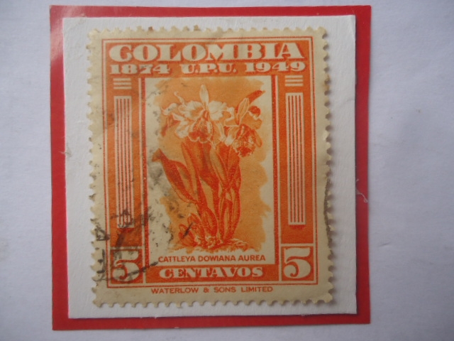Cattleya Dowiana Aurea-75°Aniversario de la Unión Postal Universal-U.P.U. (1874-1949)-Sello de 5Ct.A