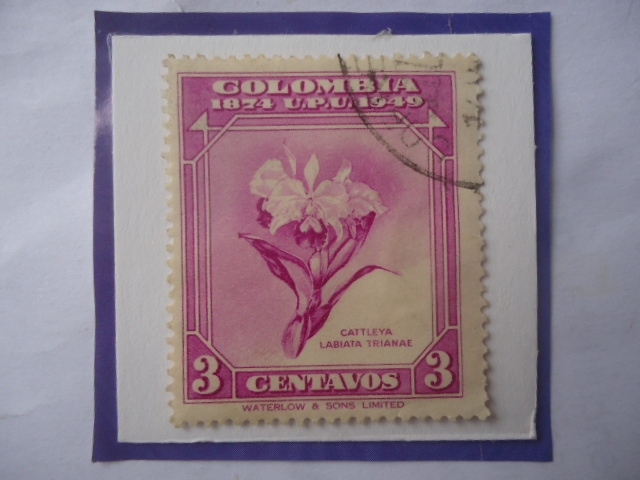 Cattleya Labiata Trianae-75°Aniversario de la Unión Postal Universal U.P.U. (1874-1949)-Sello de 3 C