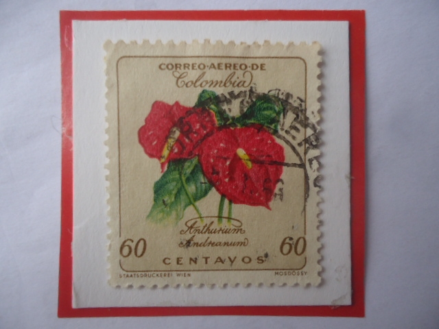 Anthuriom Andreanum- Serie: Flores - Sello de 60 Ctvos. Año 1962