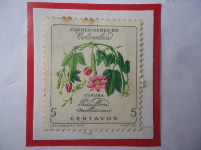 Curuba- Passiflora Mollissima- Flor de la Pasión- Serie Flores- Sello de 5 Ctvs. Año 1962