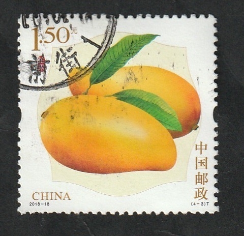 5545 - Mango