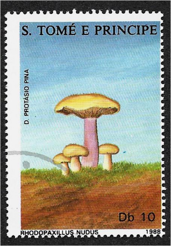 Hongos 1988, Rhodopaxillus nudus