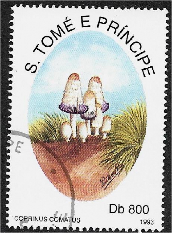 Hongos 1993, Coprinus comatus