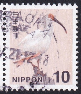 Ibis crestado japonés