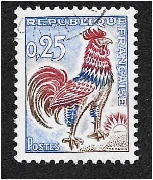 Gallo galo (Gallus gallus domesticus)