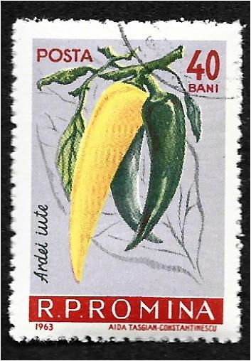 Verduras, Ají (Capsicum annuum)