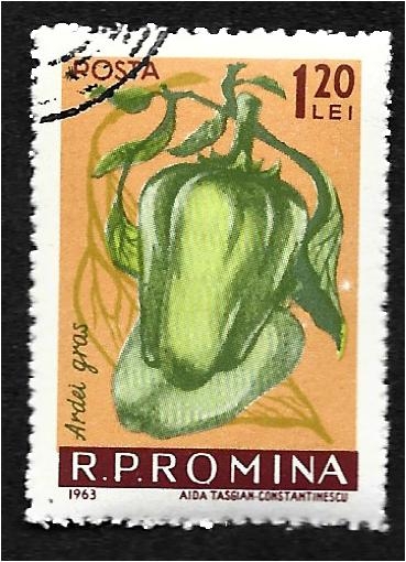 Verduras, pimentón (Capsicum annuum))