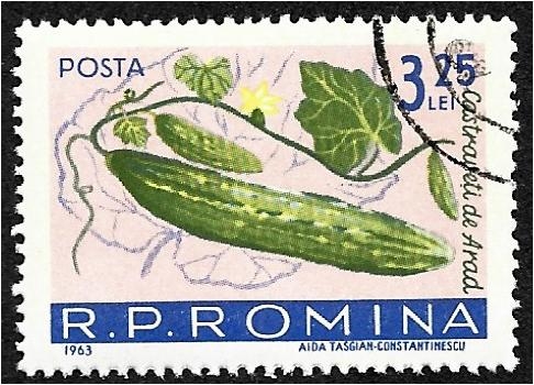 Hortalizas, Pepino (Cucumis sativus)