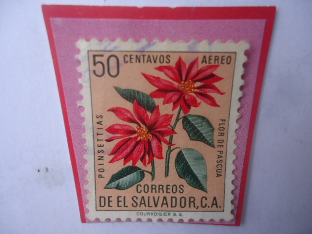 Flor de Pascua (Poinsettias)-Serie: Flores- Sello de 50 Ctvs. Año 1960.