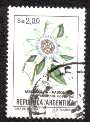 Flores. Coérulas de Passiflora