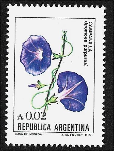 Flores Campanilla (Ipomoea purpurea)