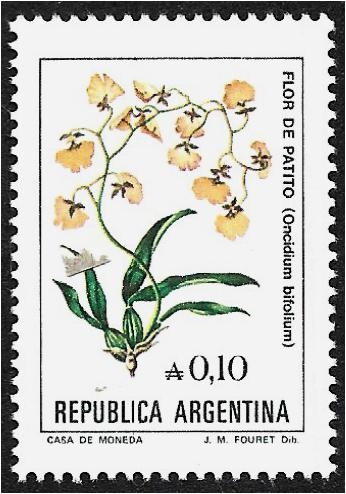Flores Flor de Patito (Oncidium bifolium)