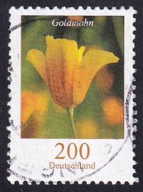 Eschscholzia californica