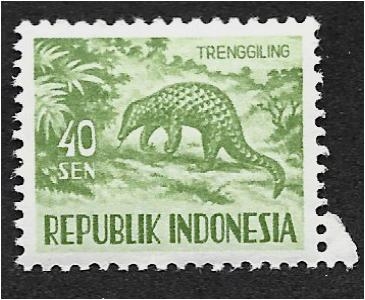 Fauna (1960). Sunda Pangolin (Manis javanica)