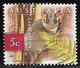 Leadbeater's Possum