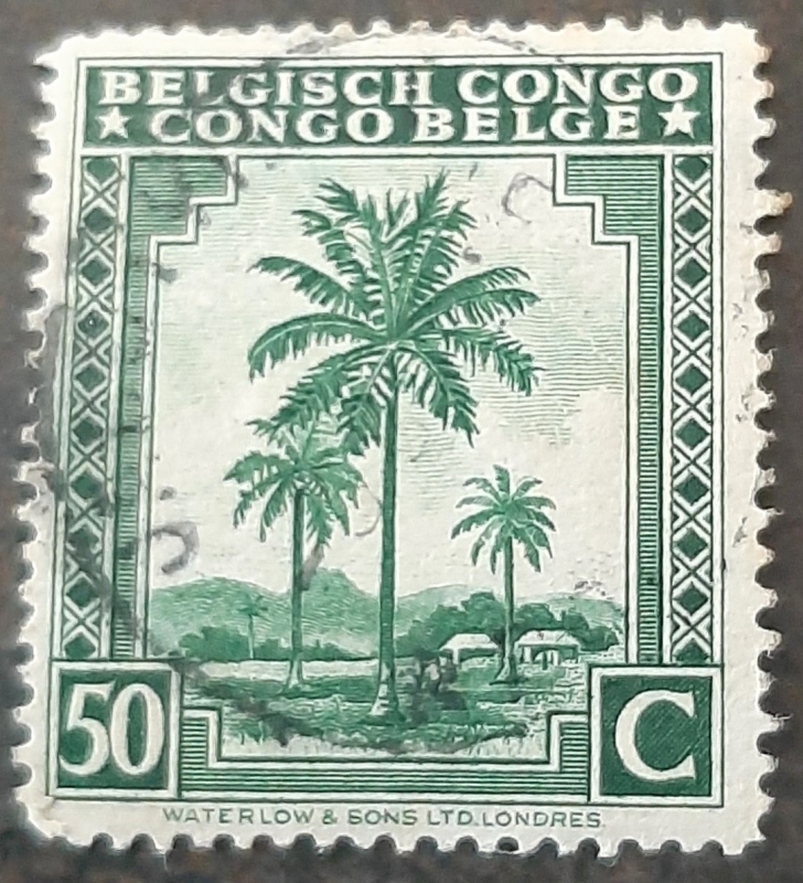 CONGO BELGA 1942 Palmeras