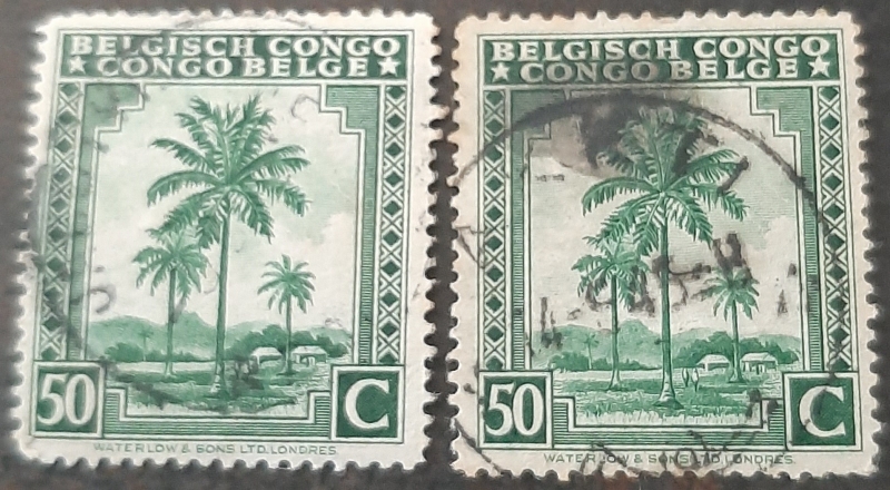 CONGO BELGA 1942 Palmeras