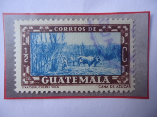 Corte de la Caña de Azúcar - Propaganda Turística- Sello de 1/2 Ctvos. Guatemalteco. Año 1953.