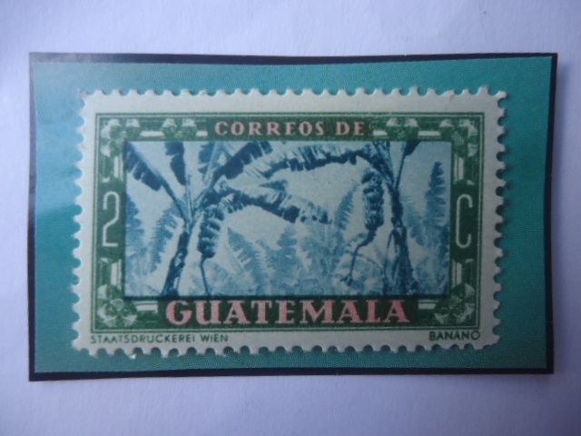 Banano - Cultivo de Banano- Propaganda Turística- Sello de 2 Ctvos. Guatemaltecos. Año 1950