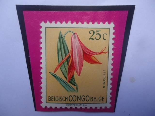 Congo Belga (Republica Democrática del Congo) - LITTONIA - Lindenii - Sello de 25 Ct. año 1952/60