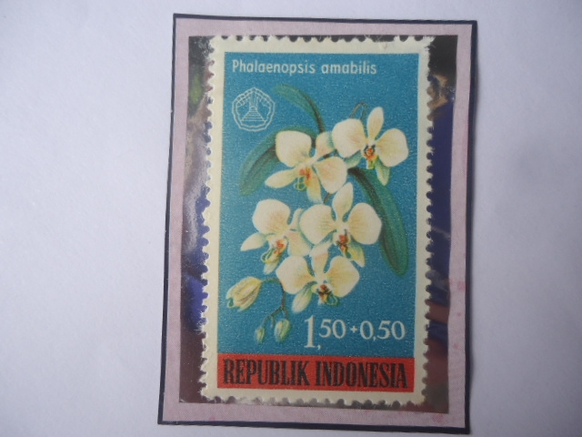 Phalaenopsis amabilid- Serie: Día Social- Sello de 1,50+0,50 Rupia Indonesio. Año 1962