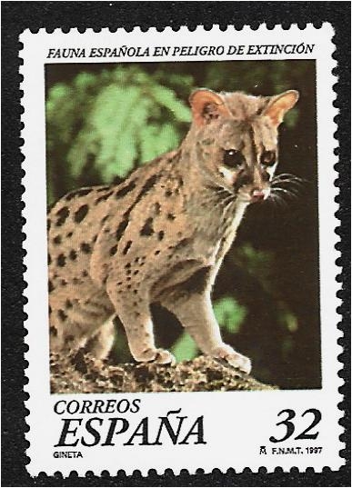 Fauna española en peligro de extinción 1997. Genet común (Genetta genetta)