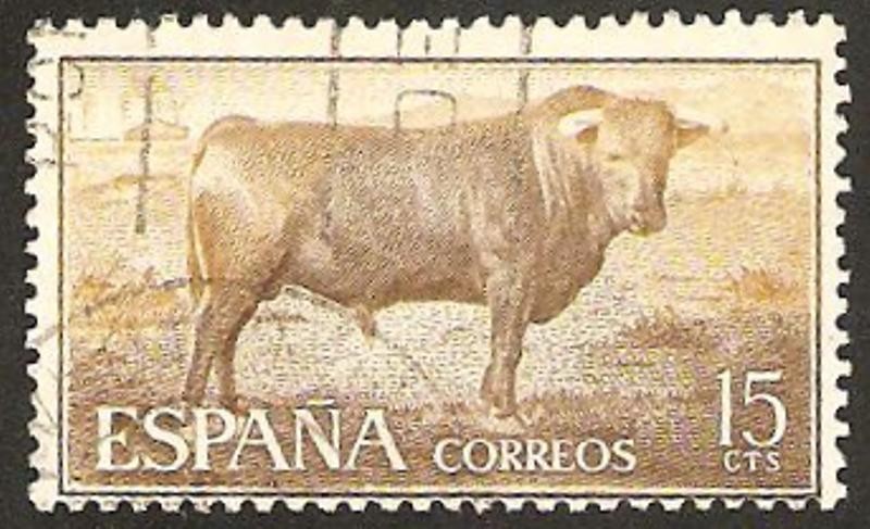 tauromaquia, toro de lidia