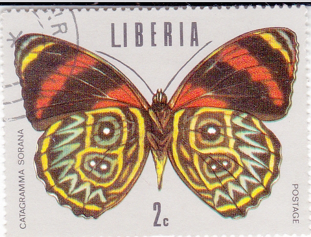 mariposa