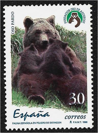 Fauna española en peligro 1996. Oso pardo (Ursus arctos)