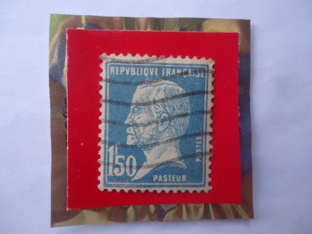 Louis Pasteur (1822/95)-Químico, Físico, Matemático Francés,