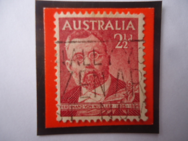 Sir John Forrest(1847-1918)- Primer ministro de Australia (1890)
