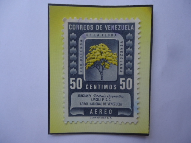 Araguany- (Tabebuia Chrysantha)-Árbol Nacional de Venezuela- Pro Defensa de la Flora Venezolana.