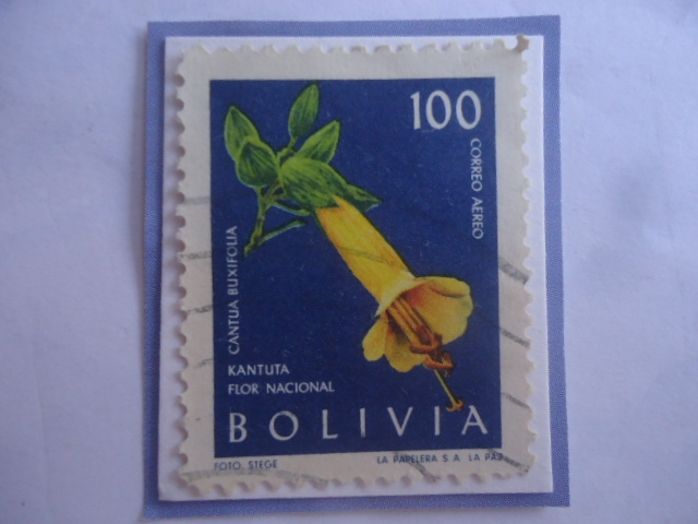Kantuta (Cantua Buxifolia)- Flor Nacional - Serie:Flores- Sello de 100 Bolivianos, año 1962