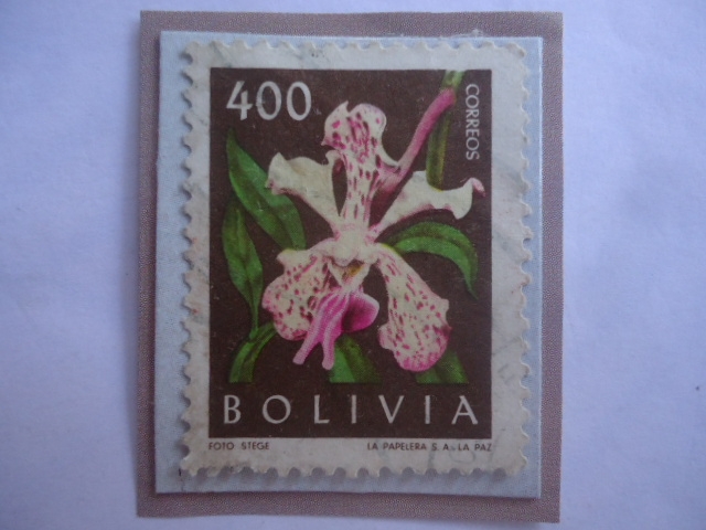 Orquídea - Vanda Tricolor Var. Suavis- Sello de 400 Boliviano del año 1962