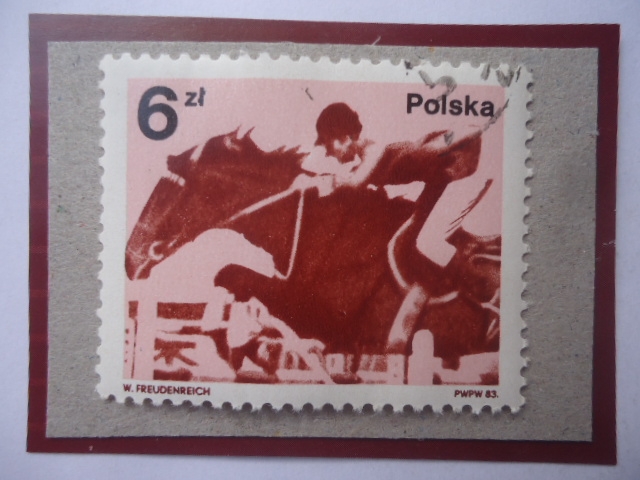 Equitación-Salto-Juegos Olímpicos-Moscú- Jan Kowalczyk medalla de oro