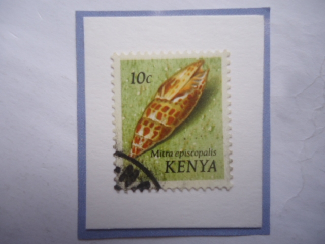 Kenia-Mitra episcopalis- Mulluscs del mar- Sello de 10 Céntimos keniano, año 1971.