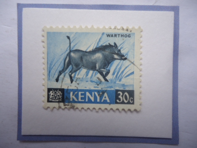 Kenia- Warthog- Jabalí del Desierto (Phacochoerus aethiopicus)-Fauan Africana Sello de 30 Cénts.Keni